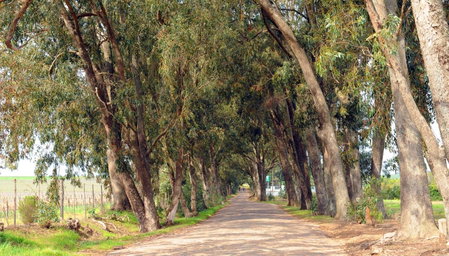 Groenvlei Guest Farm, Kraaifontein, South Africa