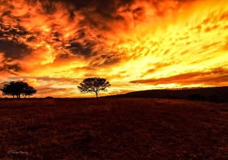 The Ranch House at African Safari Lodge, Grahamstown, Sudáfrica