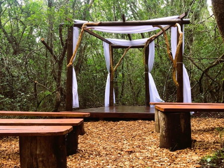 Teniqua Treetops, Knysna, Afrique du Sud