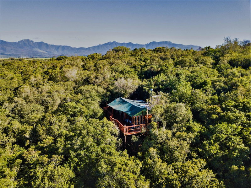 Teniqua Treetops, Knysna, Afrique du Sud