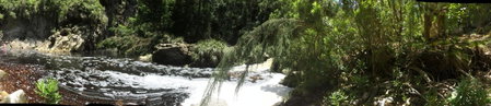 Teniqua Treetops, Knysna, Afrique du Sud