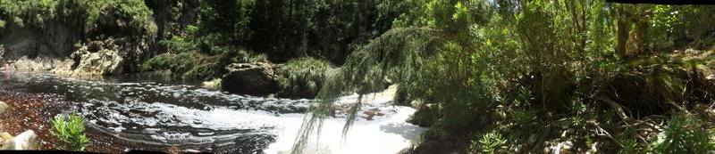 Teniqua Treetops, Knysna, Afrique du Sud