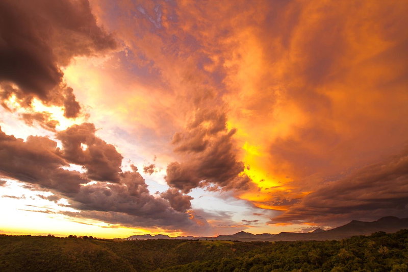 Teniqua Treetops, Knysna, Afrique du Sud