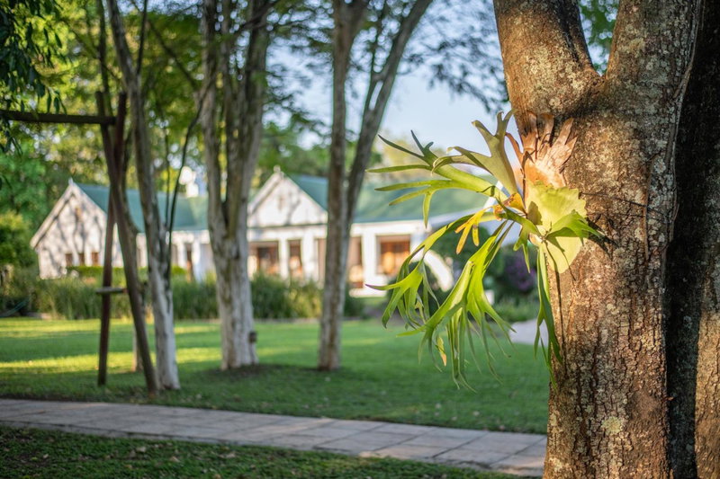 Nut Grove Boutique Hotel, White River, South Africa
