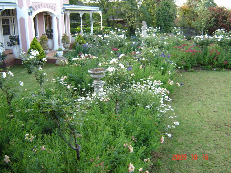 Westlodge at Graskop B&B, Graskop, Südafrika