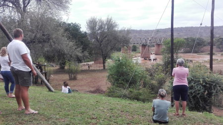Three Bridges B&B, Hoedspruit, South Africa