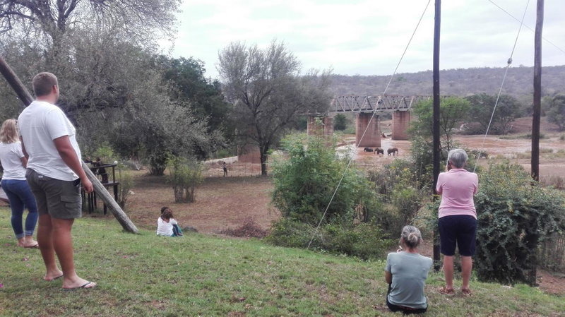 Three Bridges B&B, Hoedspruit, South Africa