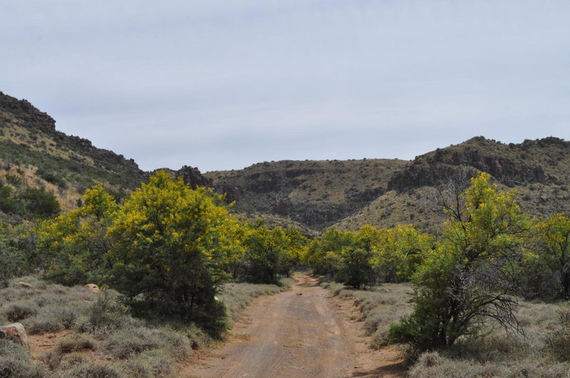Ko Ka Tsara Bush Camp, Beaufort West, Sudáfrica
