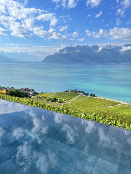 Baron Tavernier Hotel Restaurant & SPA, Vevey, Schweiz
