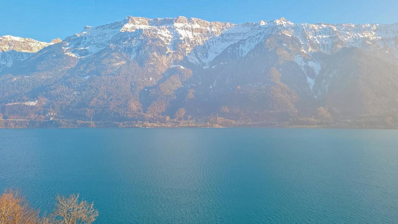 Alpina Boutique Hotel Interlaken - Ringgenberg - Adults only !, Thun, Швейцария
