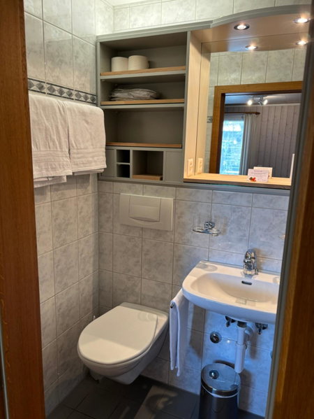 Alpina Boutique Hotel Interlaken - Ringgenberg - Adults only !, Thun, Швейцария