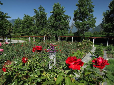 Castello del Sole Beach Resort&SPA, Ascona, Switzerland