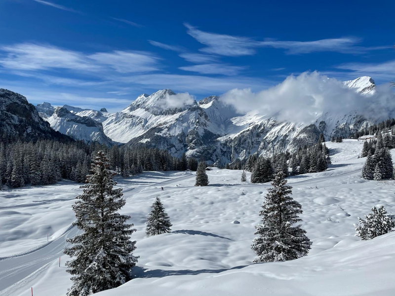 Seilers Vintage Hotel & Spa, Kandersteg, Switzerland