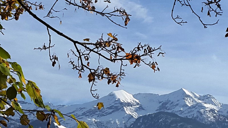 Oase zum SEIN, Thun, Suisse