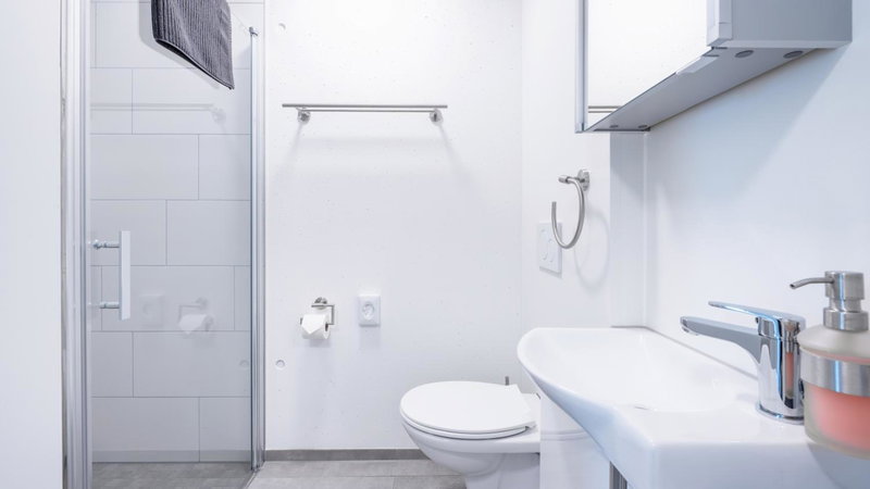 Anstatthotel Goldau - self-check-in, Zug, Suiza