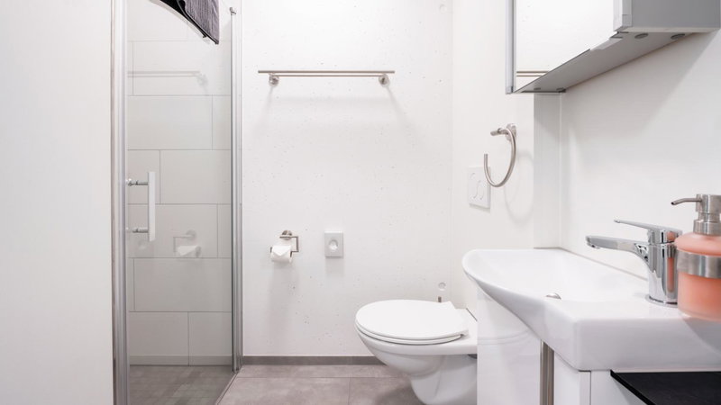 Anstatthotel Goldau - self-check-in, Zug, Suiza