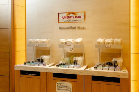 Richmond Hotel Premier Musashikosugi, Kawasaki, Japon