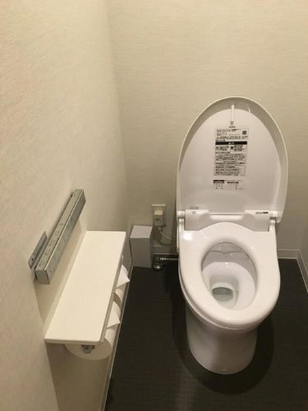 Nippon Seinenkan Hotel, Tokyo, Japón