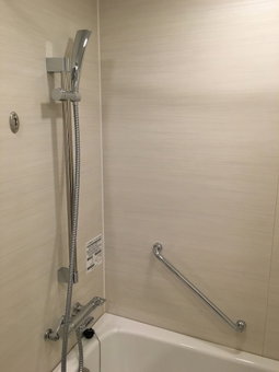 Nippon Seinenkan Hotel, Tokyo, Japón
