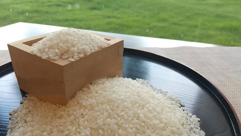 Toyoko Inn Narita Airport Honkan, Narita, Япония