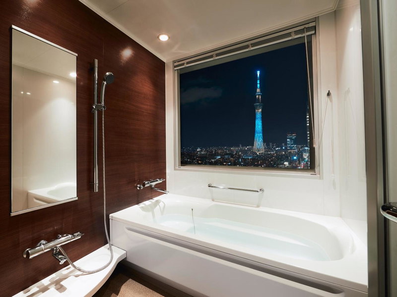 Lotte City Hotel Kinshicho, Urayasu, Japan