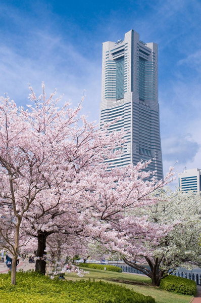 The Kahala Hotel & Resort Yokohama, Yokohama, Japan