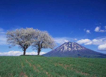 Niseko Northern Resort, An'nupuri, Kutchan, Япония