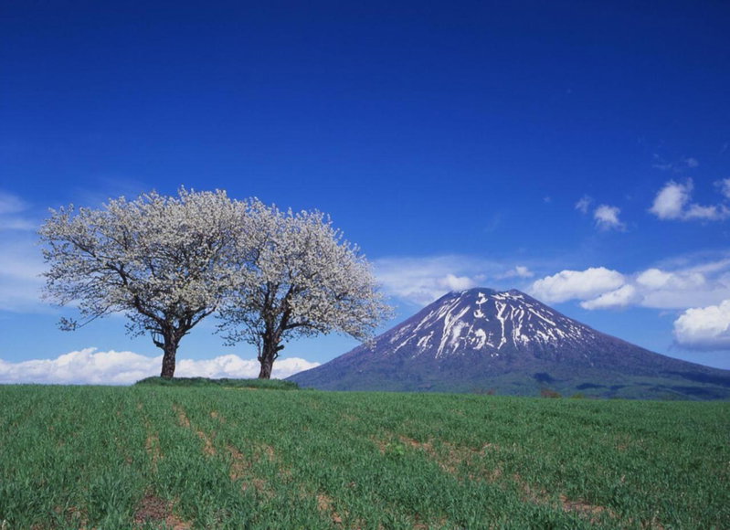 Niseko Northern Resort, An'nupuri, Kutchan, Япония