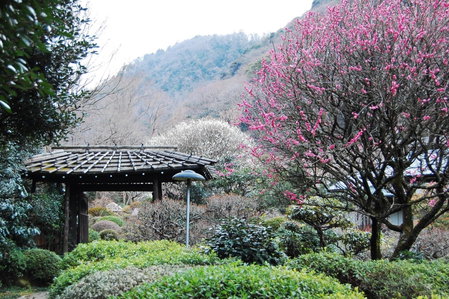 Yoshiike Ryokan, Odawara, Japan