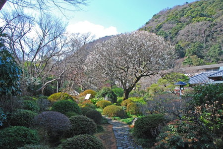 Yoshiike Ryokan, Odawara, Japan
