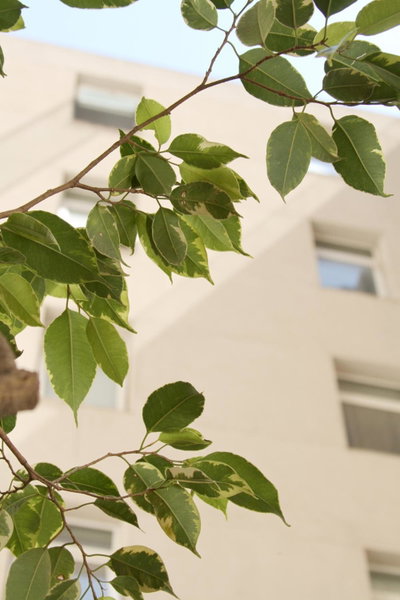 America Del Sur Hostel Buenos Aires, Buenos Aires, Argentine