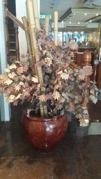Diplomat Hotel, Retiro, Argentina