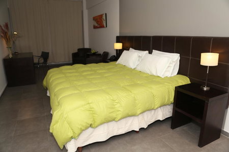 Hotel NEU 354, Neuquen, Argentine