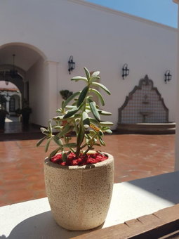 Iraola Hotel Boutique, Cafayate, Argentina
