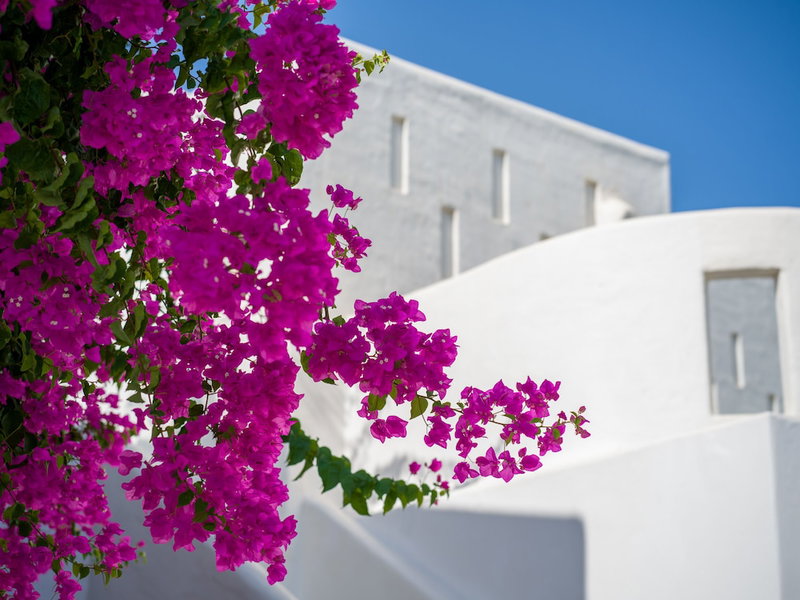 Knossos Beach Bungalows Suites Resort & Spa, Irakleion, Grèce
