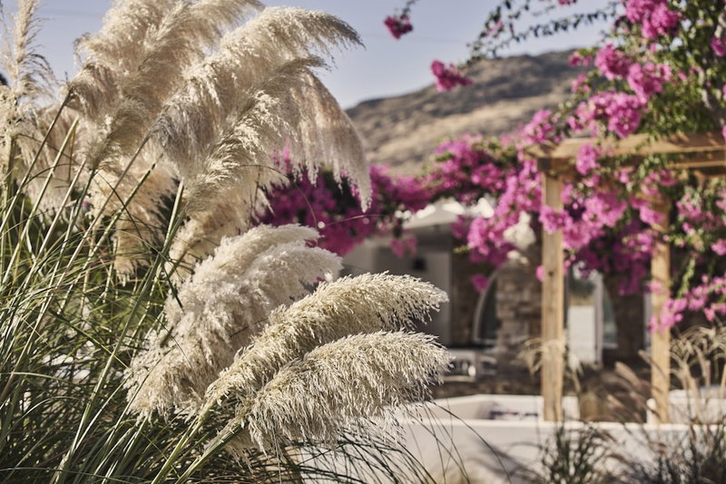 Dionysos Sea Side Resort, Ios, Greece