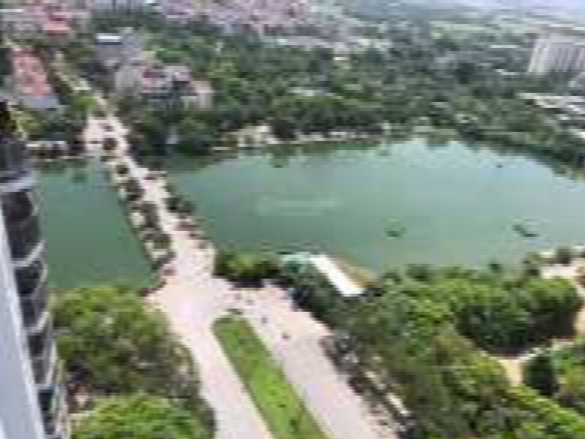New Skyline Project, Vietnam