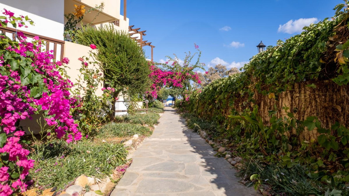 Dedalos Beach Hotel, Greece
