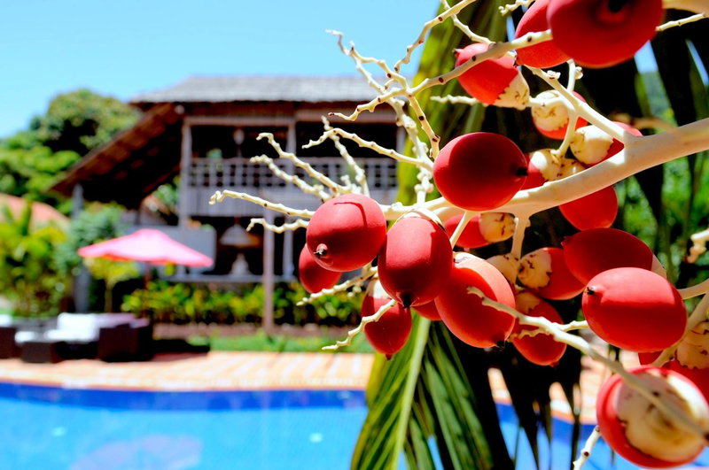 Raingsey Bungalow, Kep, Cambodge