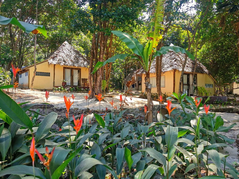 Sleeping Trees, Koh Rong Sanloem, Cambodge