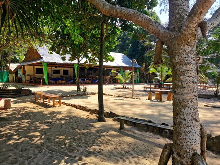 Sleeping Trees, Koh Rong Sanloem, Cambodge