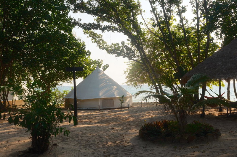 Sleeping Trees, Koh Rong Sanloem, Cambodge