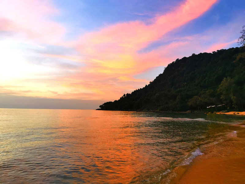 Sleeping Trees, Koh Rong Sanloem, Cambodge