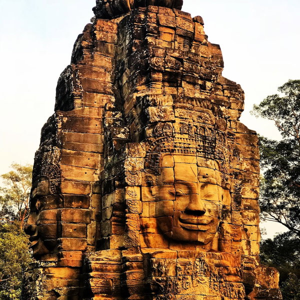 La Palmeraie. D'angkor, Siem Reap, Cambodge