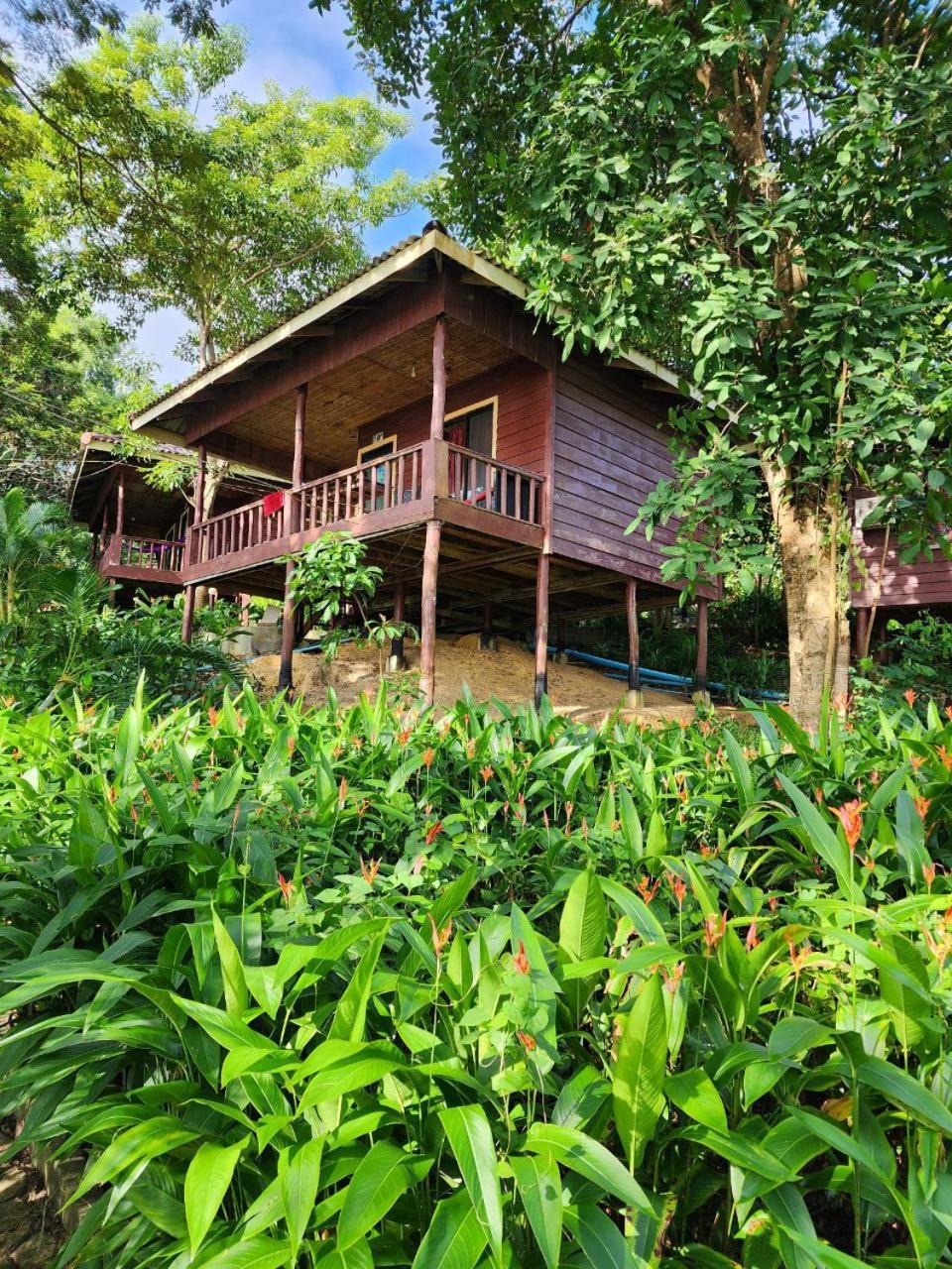 Sweet Jungle Bungalows, Cambodge