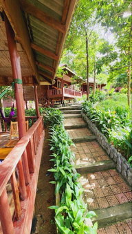 Sweet Jungle Bungalows, Koh Rong Island, Cambodge