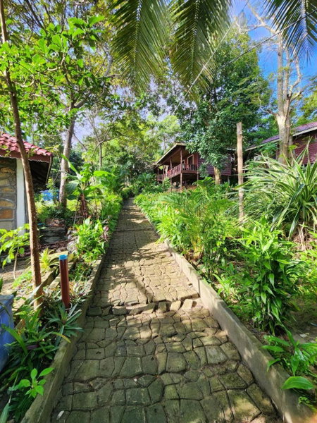 Sweet Jungle Bungalows, Koh Rong Island, Cambodge