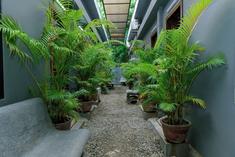 Angkor Piseth Homestay, Siem Reap, Kambodscha
