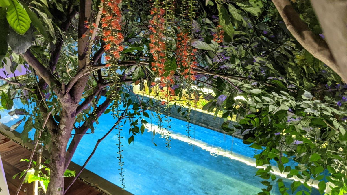 Hotel · Denalee Villa, Phnom Penh