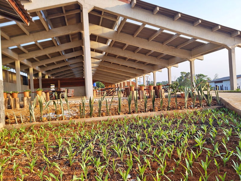 Pida Coffee Farm Lodge, Sen Monorom, Kambodscha